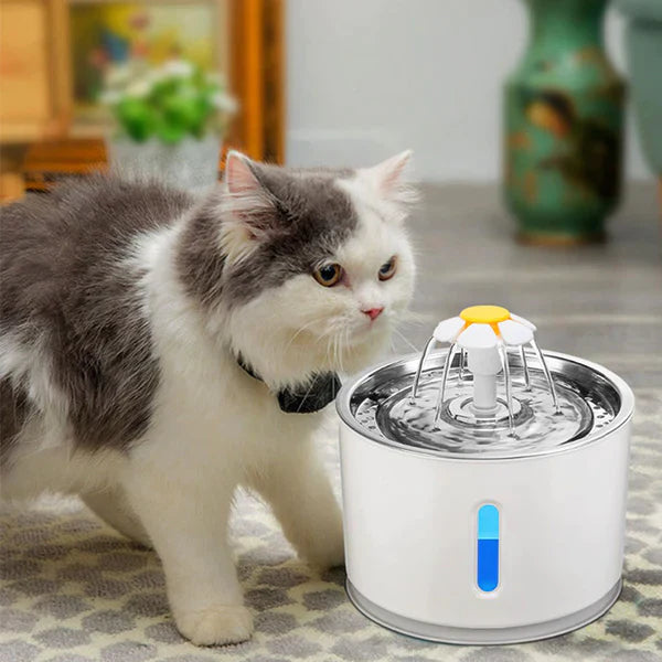 KoalaCart™ Pets Water Fountain - 50% Today Only